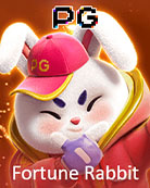 Fortune Rabbit